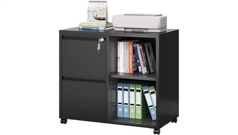 DEXYLLO Metal Lateral File Cabinet with Lock, 2-Drawer Rolling Printer Stand with Shelf, Mobile Storage Cabinet for Home Office